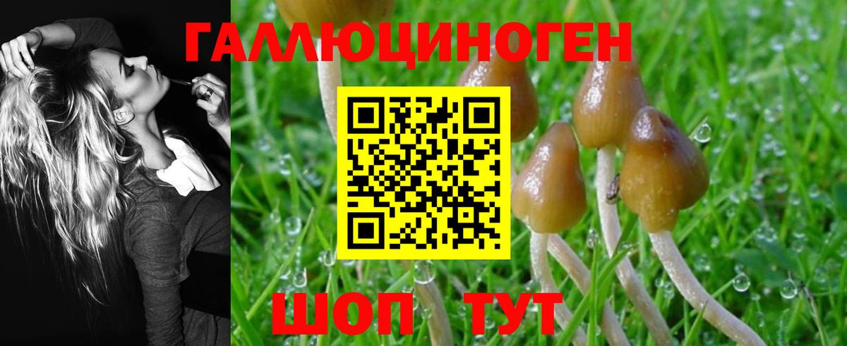Светлоград  Псилоцибиновые грибы Psilocybine cubensis  Псилоцибиновые грибы MAGIC MUSHROOMS  Вход с VPN 