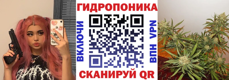 Каннабис сатива  Светлоград 